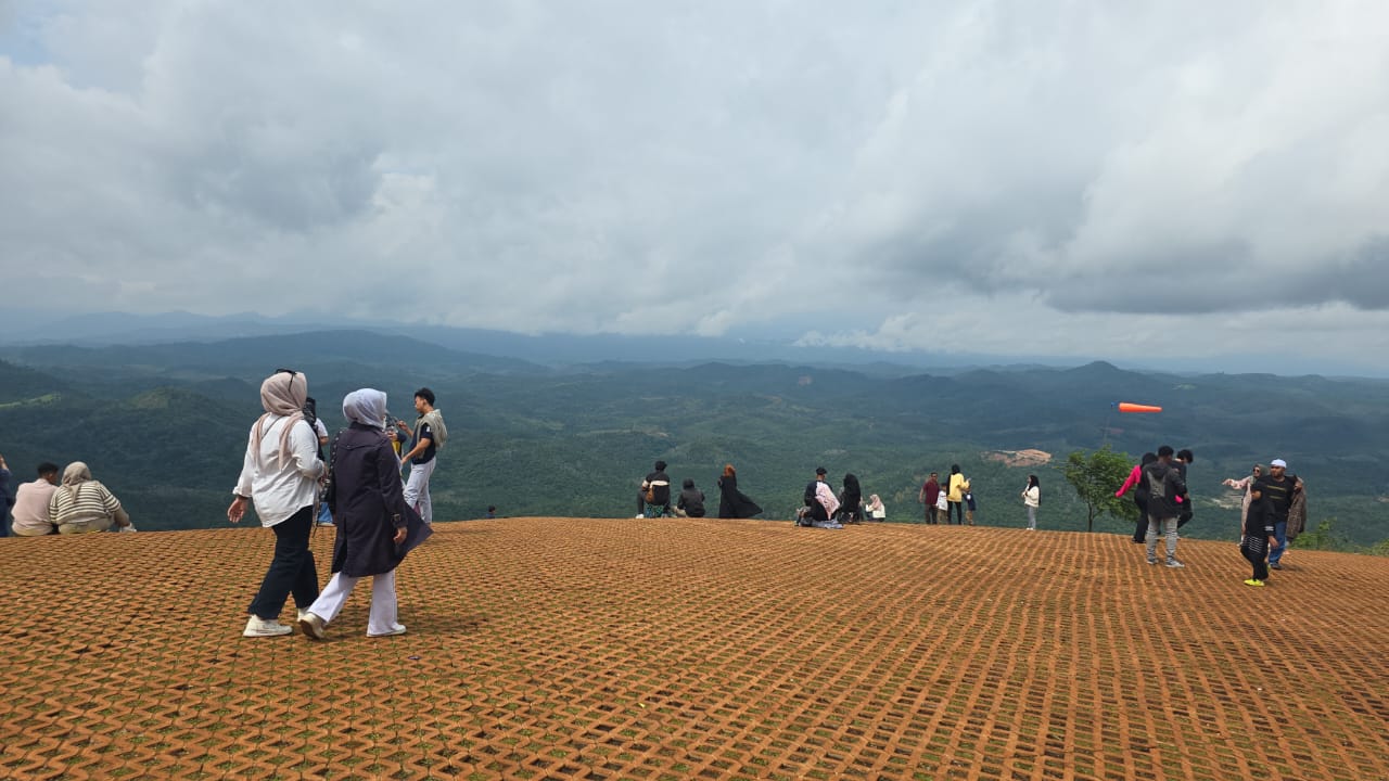 Gallery Thumb 1